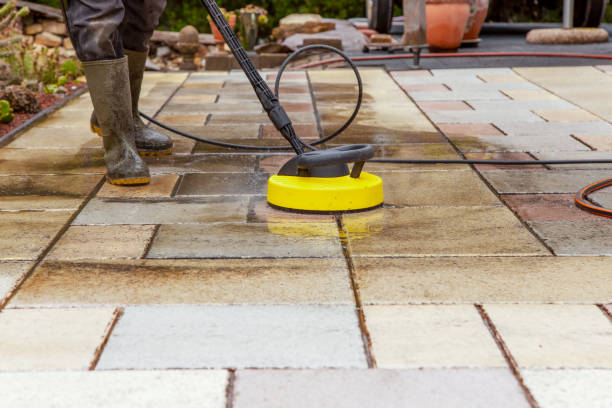 Best Rust Removal  in Lake Fenton, MI